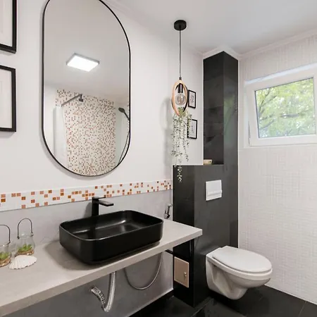 New Iorga5 Oldcity Selfcheckin * Timişoara