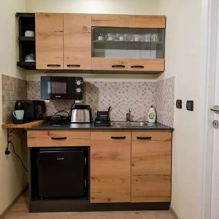 New Iorga5 Oldcity Selfcheckin Timişoara