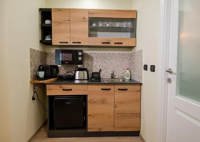 New Iorga5 Oldcity Selfcheckin Temesvár