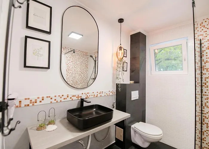 New Iorga5 Oldcity Selfcheckin * Temesvár