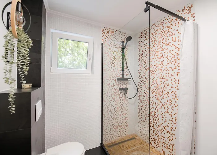 New Iorga5 Oldcity Selfcheckin Apartman Temesvár