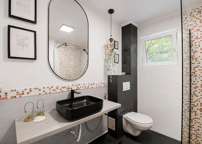 New Iorga5 Oldcity Selfcheckin * Timişoara